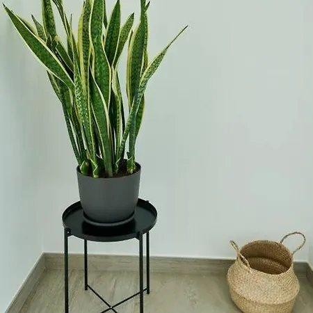 Blue Horizon Lägenhet