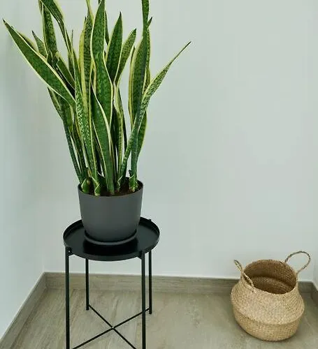 Blue Horizon アパート